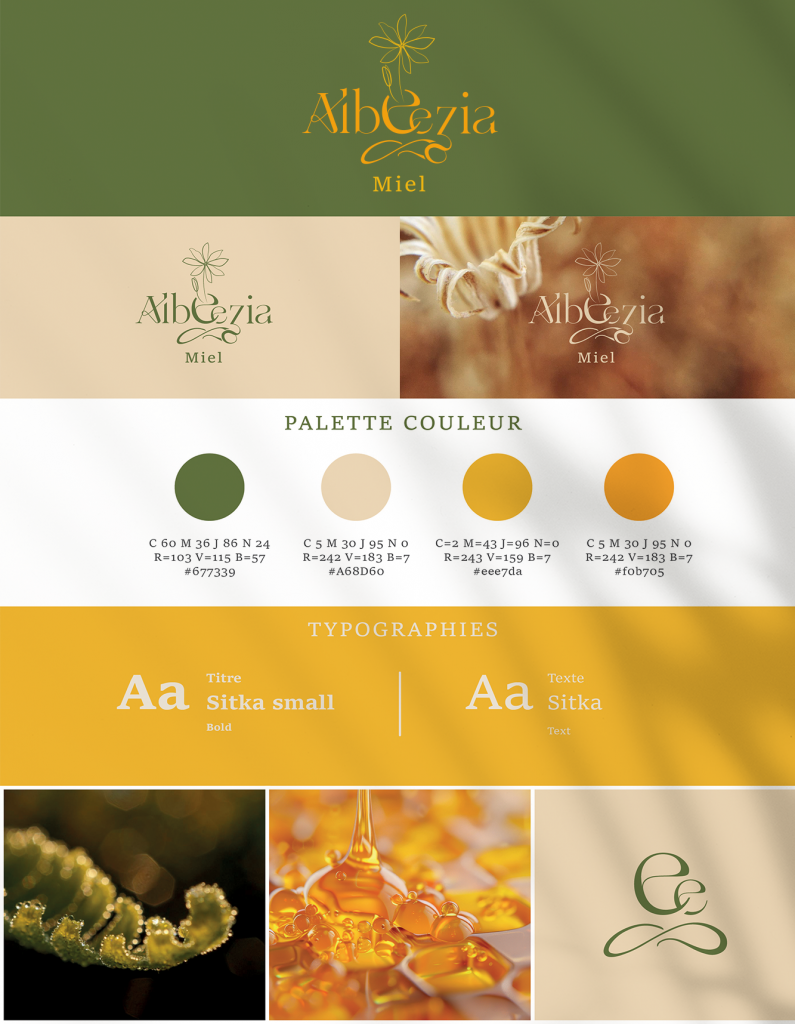exemple charte graphique